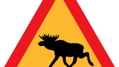 Varningskylt med en älg.