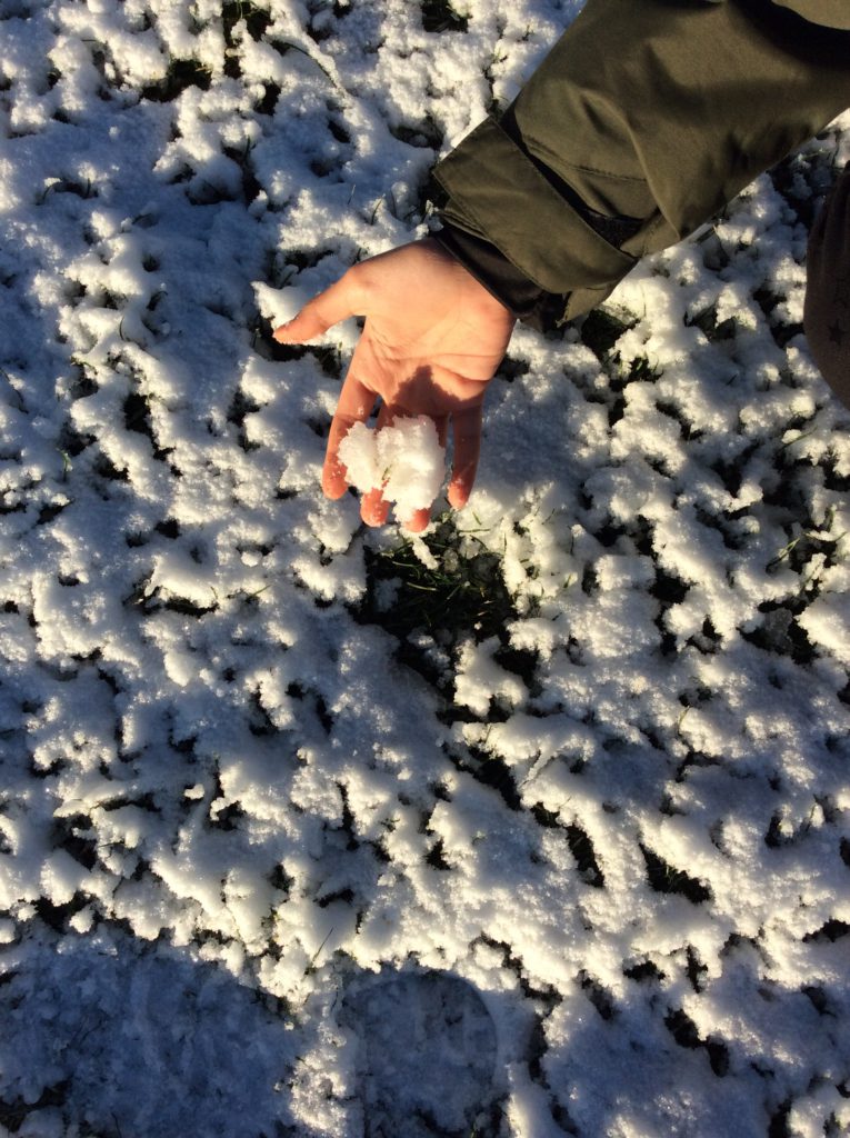 En hand plockar upp lite snö.