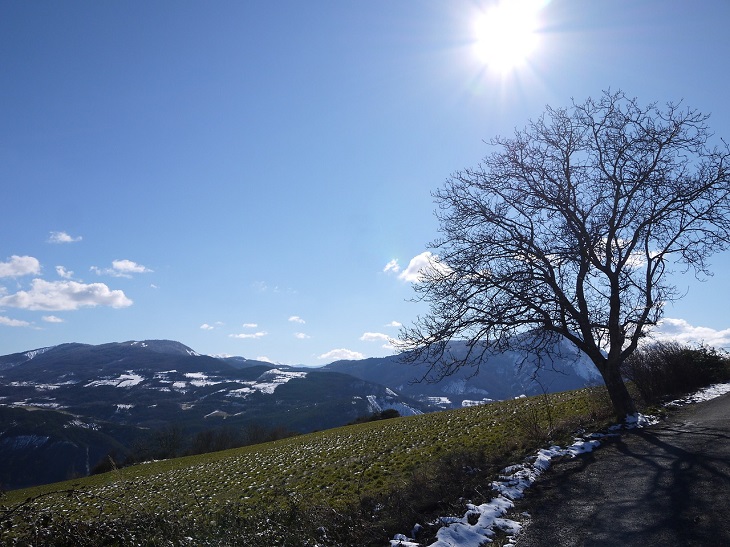 En grön backe. I kanten ligger snö och längs horisonten syns berg. Ett kalt träd avtecknar sig mot en blå himmel där solen strålar.