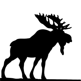 En silluhett av en älg