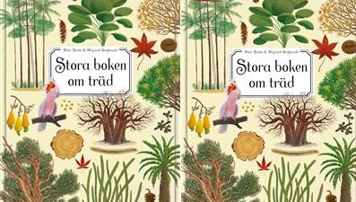 Stora boken om träd