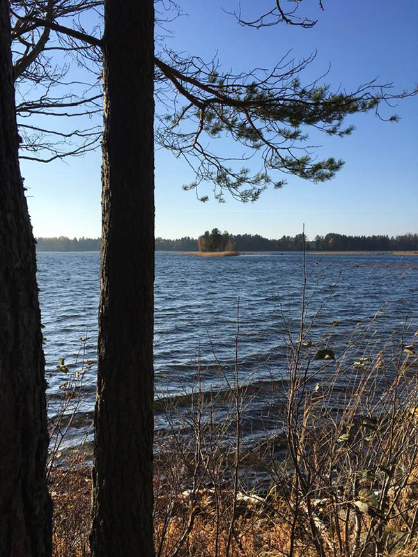 Foto från Nydalasjön