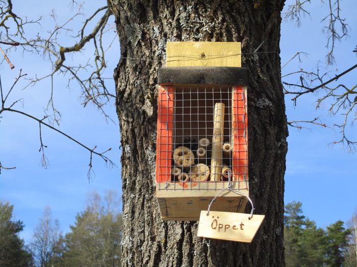 En holk på ett träd för bin