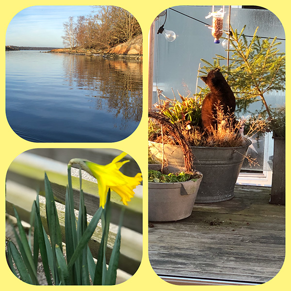 Fotokollage med vårbilder.