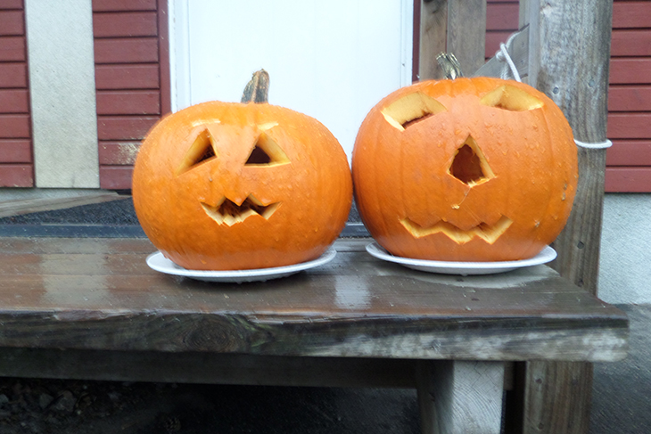 Två halloweenåumpor på ett bord.