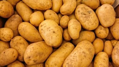 Potatis