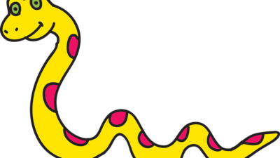 Fyra ormar hittade i Malmö