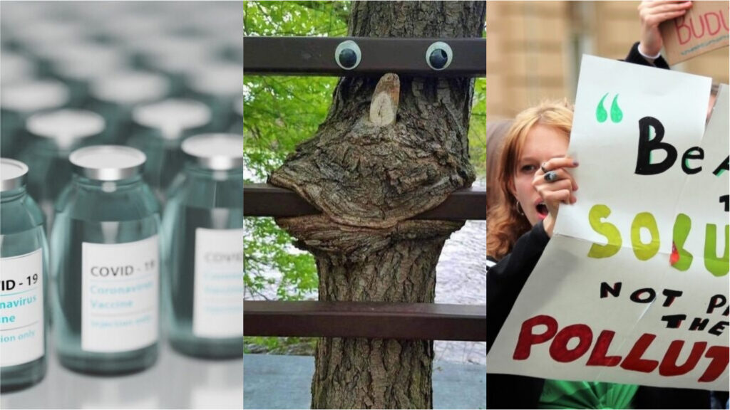 Collage på vaccin, träd och en demonstration